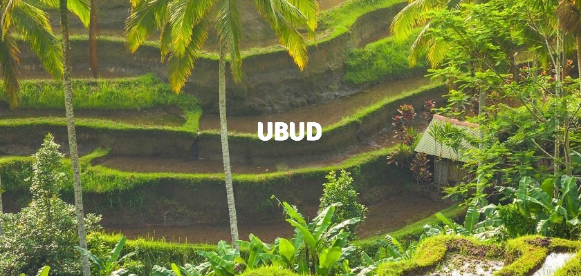 the exotic culture of ubud bali indonesia